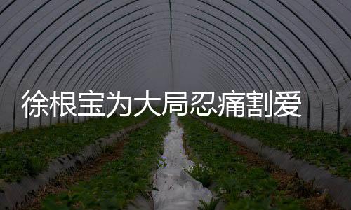 不如说是徐根叹苦经
