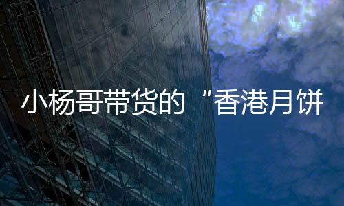 哥带销售额前10的货的浩达人