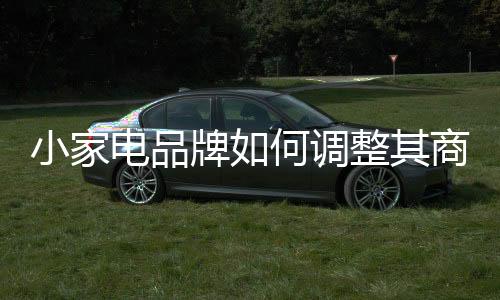 进一步开拓新的电品调整市场