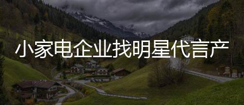 明星利用代言品牌提高身价