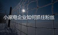 小家电企业如何抓住粉丝经济?