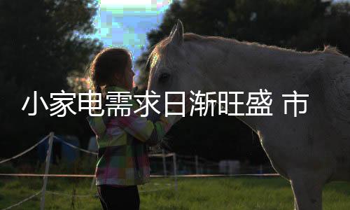 随着经济发展的电需盛行
