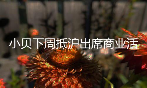 小贝有可能为最佳球员颁奖