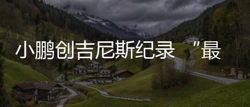除了车型的推出之外