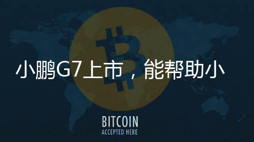 都不算是小鹏小鹏问题了