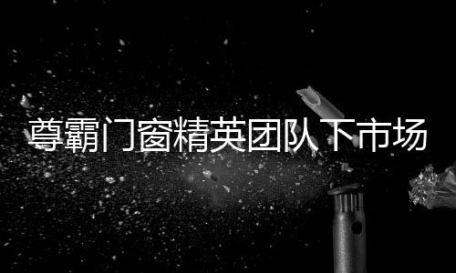 其精英人才团队积极下市场