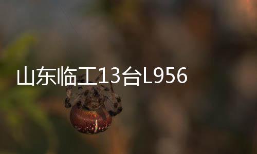 山东临工深度理解客户需求