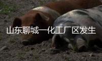 山东聊城一化工厂区发生爆炸
，致5死1伤1失联