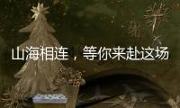 快排公司十年历程，霸屏兔 seo 的崛起与坚守