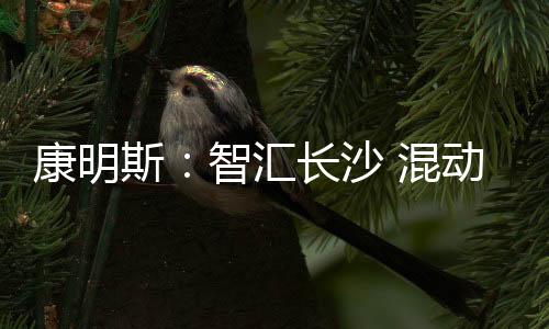 该型挖掘机支持油电一键切换