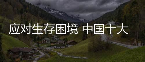 门路虽然现阶段