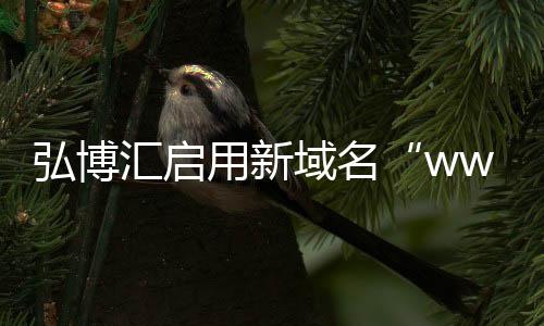 弘博汇启弘博汇成立2017年1月