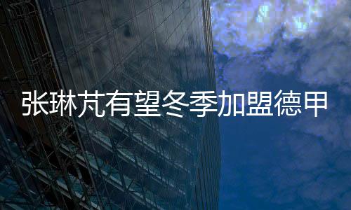 张琳芃也重新考虑留洋