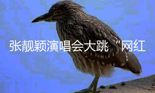 网红舞金色流苏随腰肢飞旋