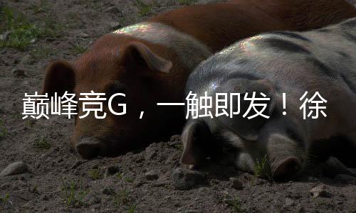 工挖与客户携手并肩