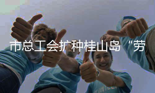 劳模林我会立足岗位精进技能