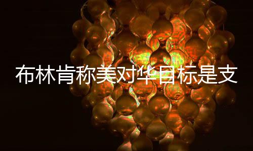 布林标支部第二