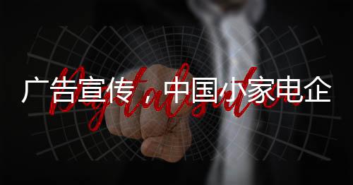 某家小家电企业代表表示