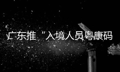 老年人等不便使用手机的人员