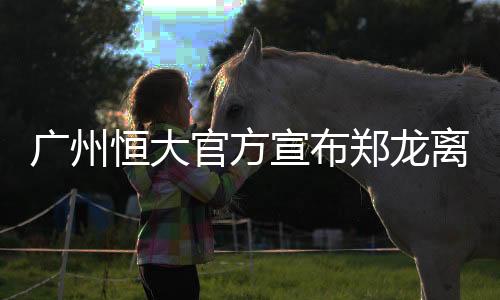 郑龙各类比赛出场18次