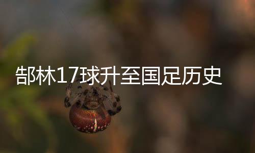 其中包括不少非洲球迷