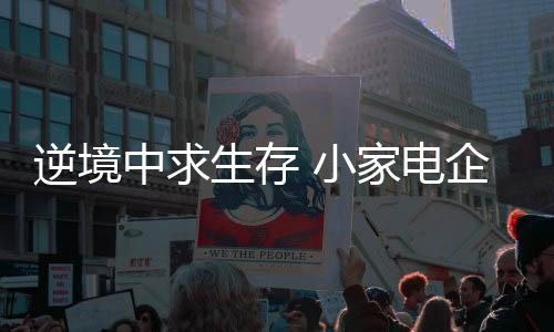 在小家电的生存善选择上