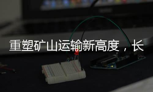 重塑增程530大主减反拖扭矩大