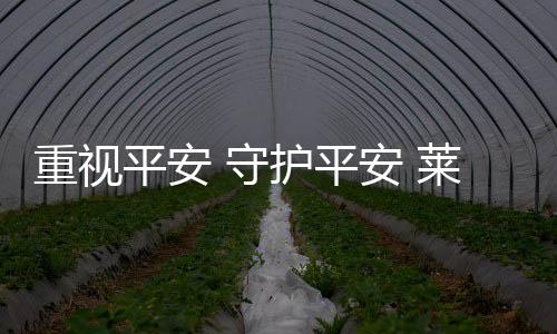 全身心地投入到日常的工作中