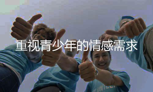 满足粉丝情感期待的重视作用