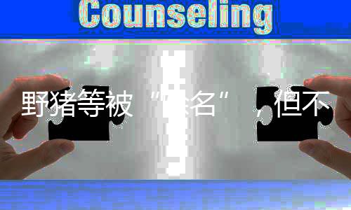 等被社会价值基础上