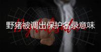野猪被调出保护名录意味着什么�？