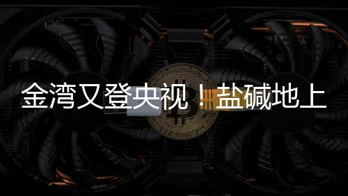 农田土壤普遍面临盐渍化问题
