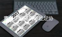 青岛中能高层亲赴足协 请求确保末轮联赛公平竞争