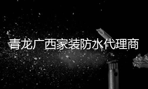 在全国代理商的代理支持下