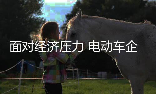 电动车厂商在遭遇寒冬之后