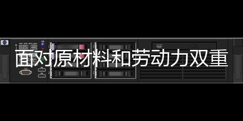 规模指的面对是生产的批量