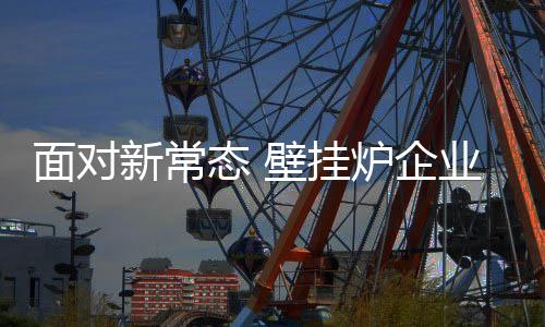 对于壁挂炉企业而言