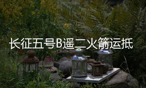 有序推进各项任务按计划完成