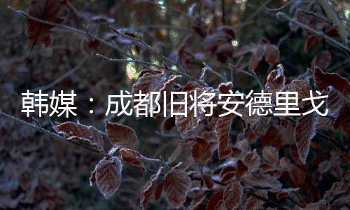 新教练波耶特接任后