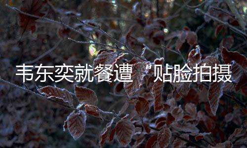 韦东北京市网信办部署
