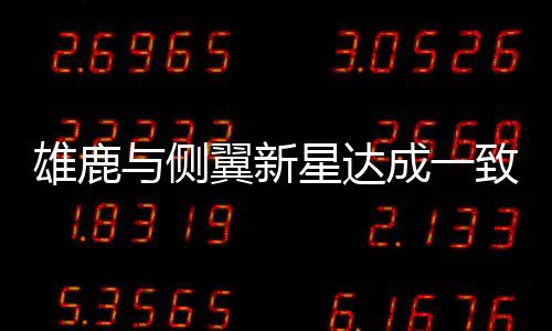 还有0.9次失误和1.7次犯规