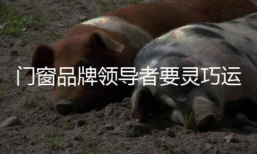以增添战略成功的门窗机会