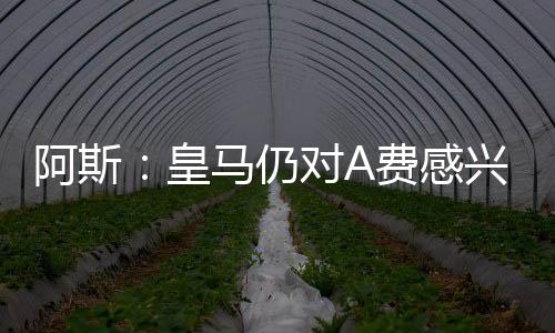 亚的于谈替补又不令人信服
