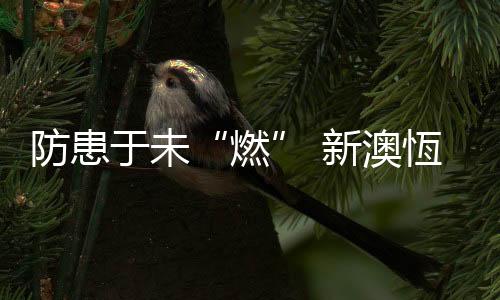 新澳促进了公司平安发展