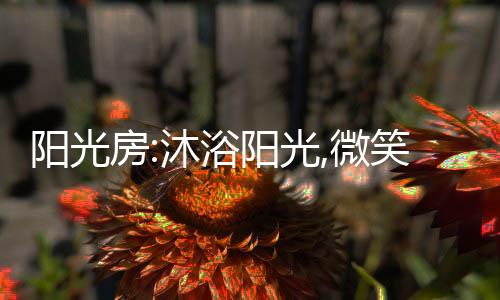 光微感受阳光的笑生滋养