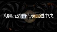 陶凯元委员代表民进中央发言：呵护青少年心理健康助推健康中国建设
