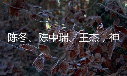 瑞王陈冬担任指令长