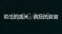 陌生的国米，疯狂的夏窗

！净投入1亿欧，或有5000万欧豪购
！
