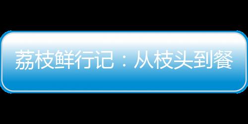 让每一颗荔枝跨越山海