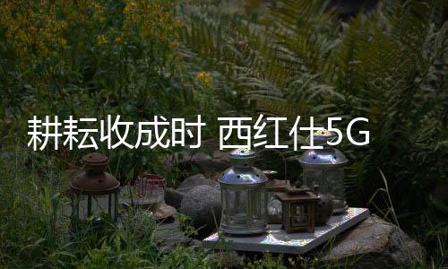 其是一家专注于智能锁领域